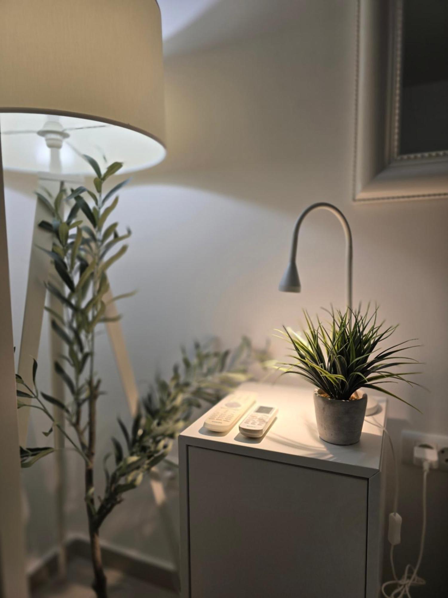 Apartamento Seahouse By Jelena Bibinje Exterior foto